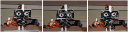 tete de robot de l'équipe Neurocybernétique du laboratoire ETIS de l'Université de Cergy-Pontoise.