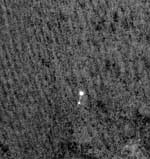Descente sous parachute de Phoenis, par Mars Reconnaissance Orbiter.
