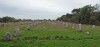 carnac_alignement_du_menec_3244bis.jpg, juil. 2025