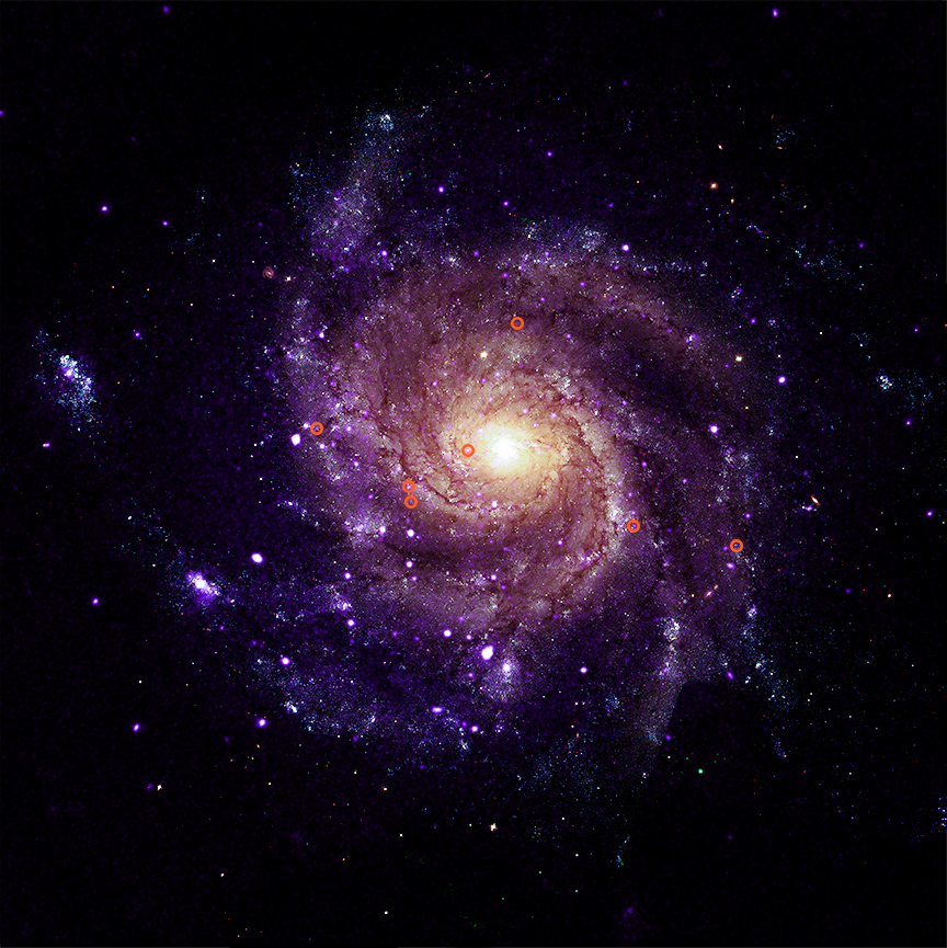 m101_labeled_p.jpg, sept. 2026